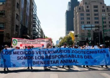 Marchan y exigen justicia por mayor seguridad para veterinarios  