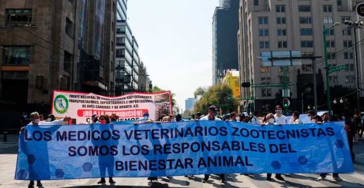 Marchan y exigen justicia por mayor seguridad para veterinarios  