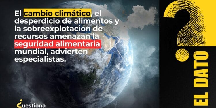 Alertan por falta de alimentos para 2050