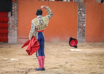 PVEM: En iniciativas, protectores; en la vida, matadores