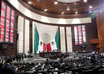 Se cocinan nuevas leyes de transparencia y protección de datos personales