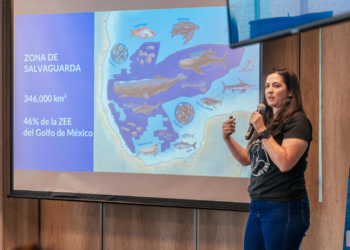 Oceana urge a declarar el Golfo de México libre de explotación petrolera