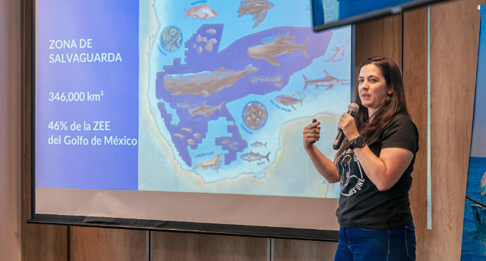 Oceana urge a declarar el Golfo de México libre de explotación petrolera