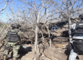 Fuerzas federales aseguran explosivos, armas y campamentos en Michoacán