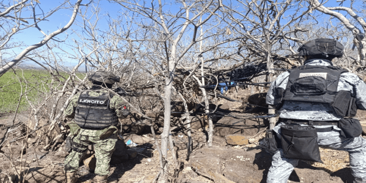 Fuerzas federales aseguran explosivos, armas y campamentos en Michoacán