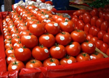 Ramírez Bedolla respalda a Sheinbaum ante amenaza de arancel al jitomate