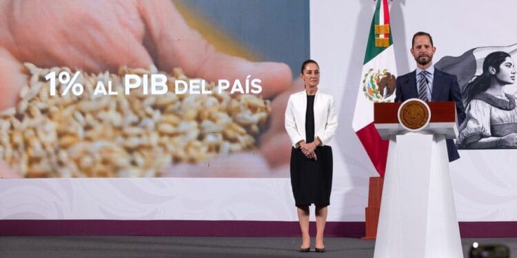 Grupo Modelo invertirá 3,600 mdd dentro del Plan México