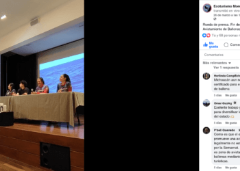 Empresa que hace turismo de avistamiento de ballenas ‘privatiza’ ruedas de prensa