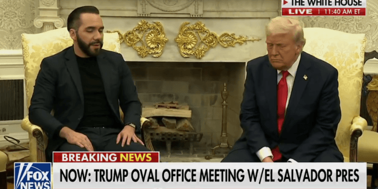 Trump y Bukele se reúnen en medio de escándalo por deportación errónea