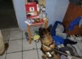 Decomisan 4.8 mil dosis de droga en operativos al norte de Morelia