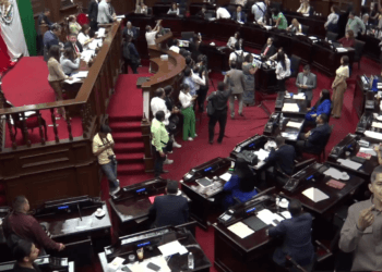 Prohíben las corridas de toros; ‘nos vemos en las urnas’, dicen los taurinos
