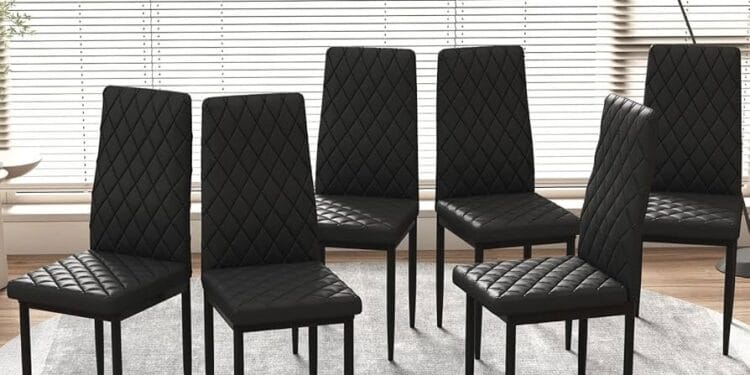 Plantean ‘Ley Silla’ para Michoacán