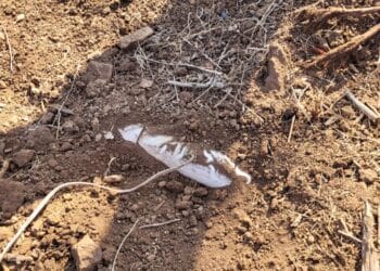 Reportan muerte de 6 atacantes en Apatzingán y Tarímbaro