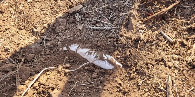 Reportan muerte de 6 atacantes en Apatzingán y Tarímbaro