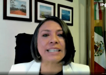 La elección judicial estará observada principalmente por mujeres jóvenes