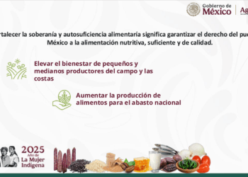 Invierten 54,000 mdp en plan de soberanía alimentaria
