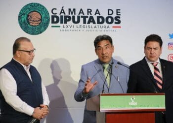 Diputados exigen transparencia sobre acciones contra la tala ilegal en México