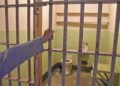 Trump ordena reabrir prisión Alcatraz en la Bahía de San Francisco