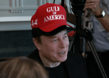 Elon Musk anuncia su retiro parcial del gobierno de EU