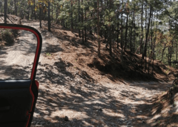 Asesinan a productor mezcalero en Tzitzio; adulta mayor resulta herida