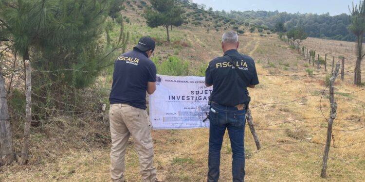 Acreditan tala ilegal y siembra irregular de aguacate en Salvador Escalante