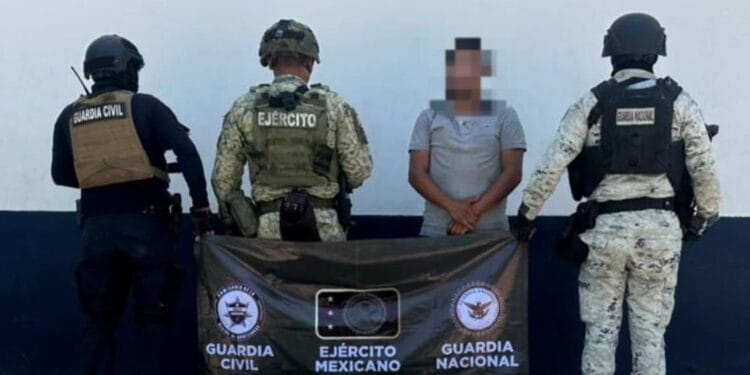 SSP y Sedena destruyen campamento y plantío de mariguana en Apatzingán y Parácuaro