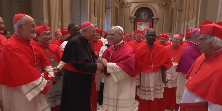 León XIV clama por la paz en su primer Ángelus como Papa