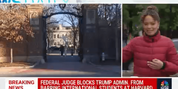 Juez frena intento de Trump por bloquear a estudiantes internacionales en Harvard