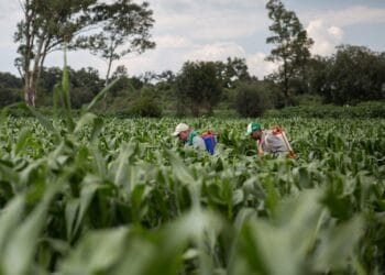 Morón condena las redadas de Trump contra migrantes en California
