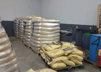 Calculan golpe al crimen en Morelia en 1,000 mdp; decomisan 42 t de meta