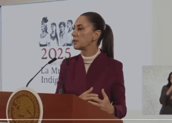 La 4T busca sistema de inteligencia contra delincuencia organizada