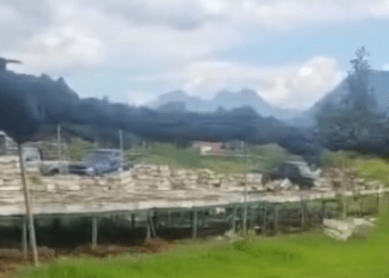 Viveristas denuncian abandono del gobierno en Michoacán