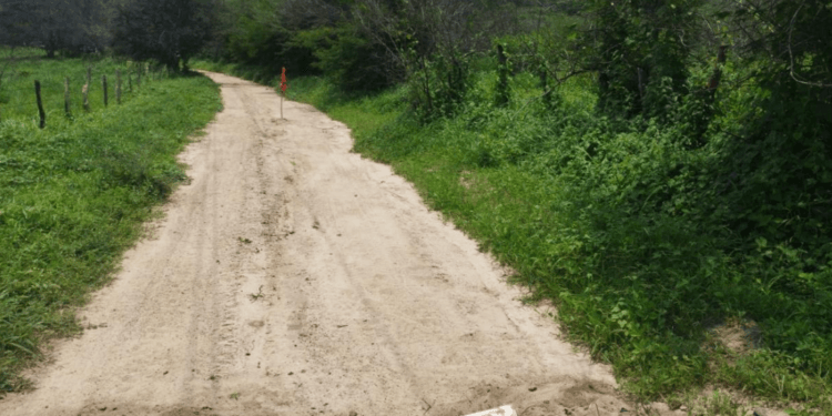 Reportan desplazamiento forzado en Apatzingán