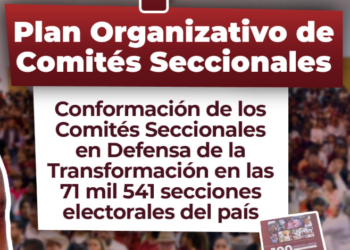 Van por la reorganización de Morena en el país