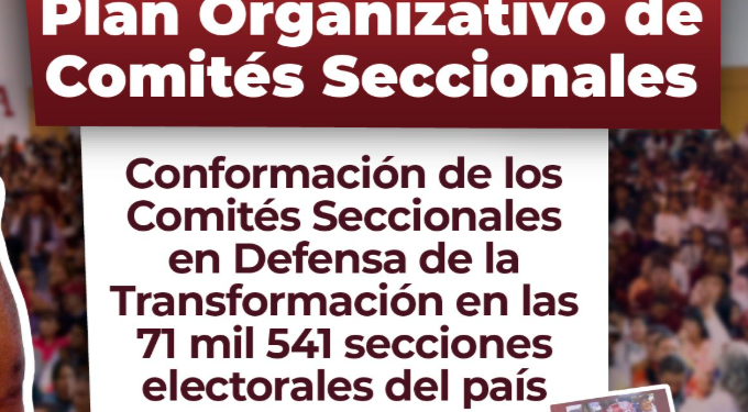 Van por la reorganización de Morena en el país