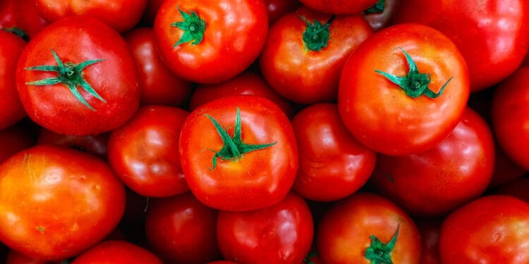 EU aplica arancel al jitomate mexicano del 17%
