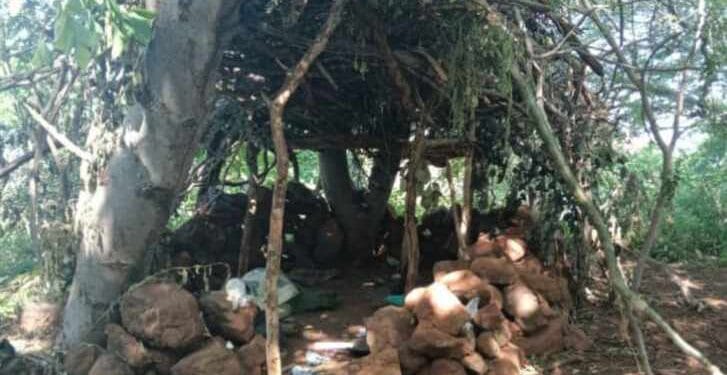 En Apatzingán SSP y Defensa destruyen campamento de la delincuencia organizada