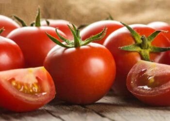 México establece precios mínimos de exportación para el tomate fresco a EU