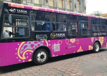 “Taruk”, el orgullo mexicano; EU pide de 10 a 20 mil autobuses