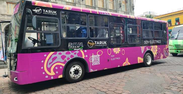 “Taruk”, el orgullo mexicano; EU pide de 10 a 20 mil autobuses