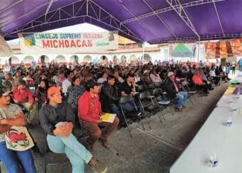 CSIM acusa que el Plan Michoacán es ‘discriminatorio, unilateral y engañoso’