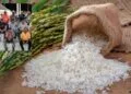 Se acaba la tregua, arroceros de Michoacán anuncian paro indefinido
