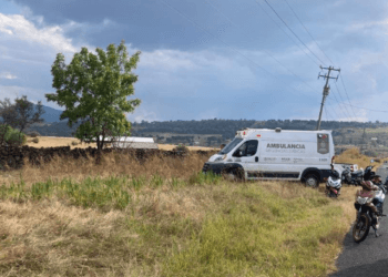 Avioneta se desploma en Purépero; hay cinco heridos