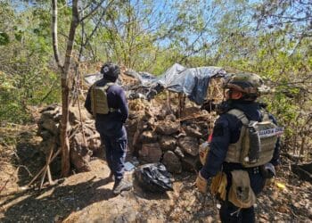 Desmantelan cuatro campos de adiestramiento criminal en la Tierra Caliente