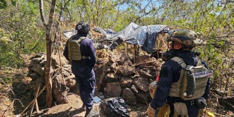 Desmantelan cuatro campos de adiestramiento criminal en la Tierra Caliente
