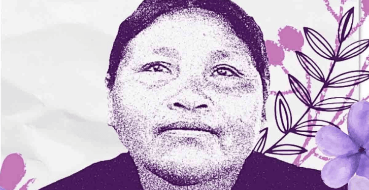 Corte Interamericana de Derechos Humanos declara responsable a México en el caso de Ernestina Ascencio Rosario