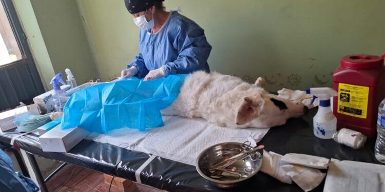 Fiscalía acepta que está rebasada en atención a caso Galeana 444