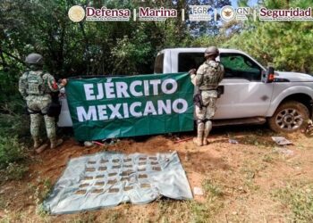 Detienen a 28 en el marco del Plan Michoacán