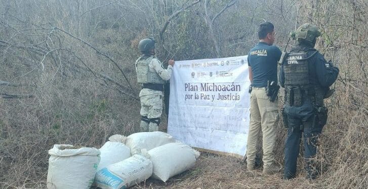 Asegurados 53 kg de marihuana en Huetamo: SSP