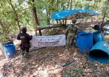 En operativo interinstitucional, SSP desactiva laboratorio de droga en Arteaga